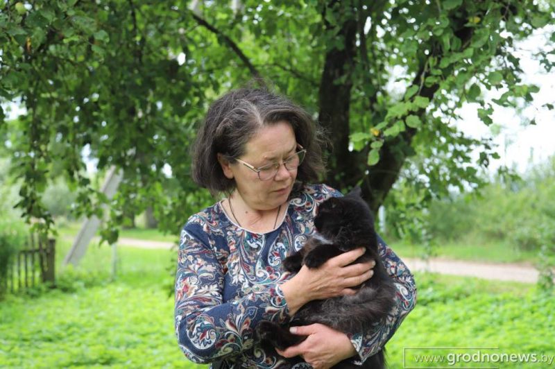 «Живут везде: в доме, сарае, гараже». В Лидском районе соседи-пенсионеры и зоозащитница спорят из-за 13 собак и некошеной травы