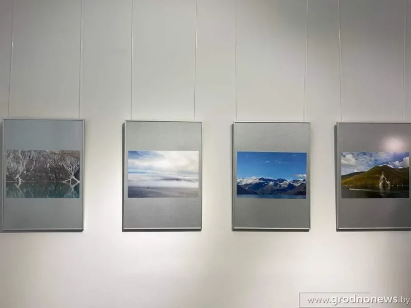 Выставка Александра Пасечника. Фото: "Гродненская правда"