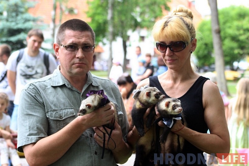 "Собаки с кошками и рядом не стоят". В парке Жилибера знакомили гродненцев с хорьками