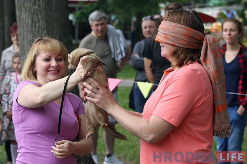 "Собаки с кошками и рядом не стоят". В парке Жилибера знакомили гродненцев с хорьками