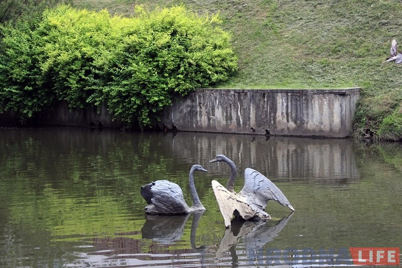 Композицию с бронзовыми лебедями в центре Гродно восстановили, но надолго ли?