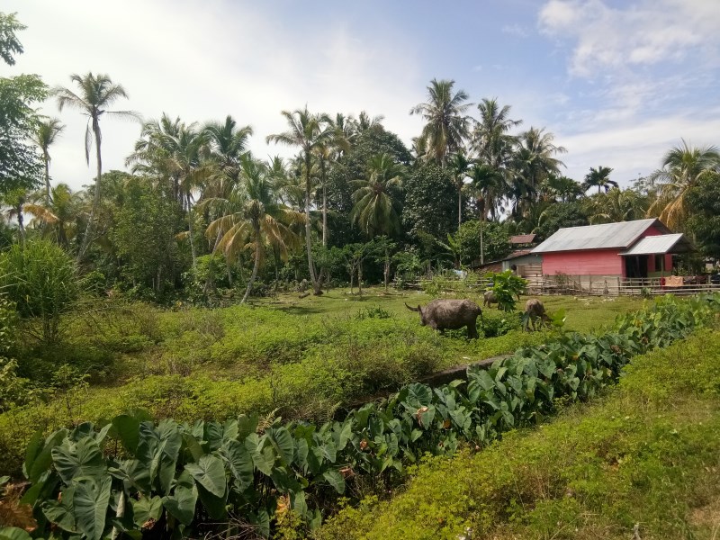 Псіхолаг у падарожжы. Пра мусульман, для якіх усе - браты і сёстры