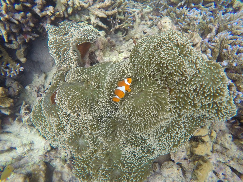 Псіхолаг у падарожжы. Рассветы і заходы, якія ніколі не паўтараюцца