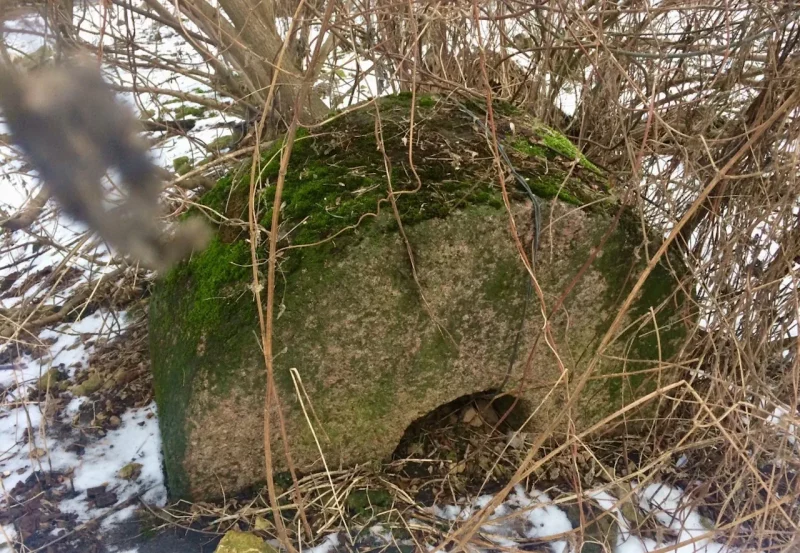 Огромные каменные жернова лежат недалеко от развалин мельницы на Лососянке. Несколько лет назад неизвестные украли аналогичный камень