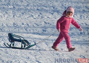 День рождения бонстиков отпраздновали в Гродно
