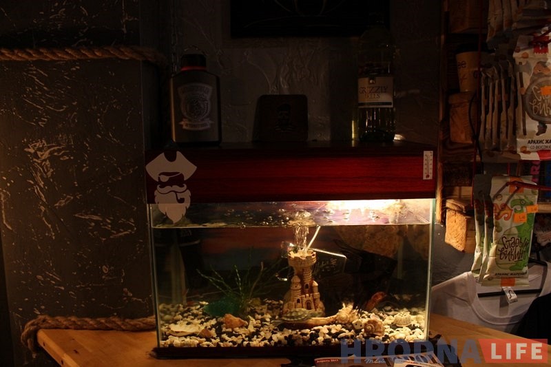 В новом гродненском баре Grizzly House ждут мотоциклистов и не только В новом гродненском баре Grizzly House ждут мотоциклистов и не только