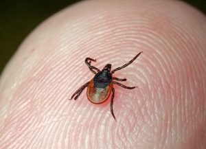 На Дитве в Лидском районе зафиксировали превышение концентраций. Виновных привлекли