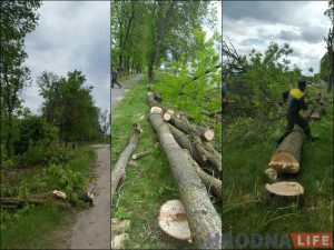 На Репина спасают пруд, который помнит Понятовского