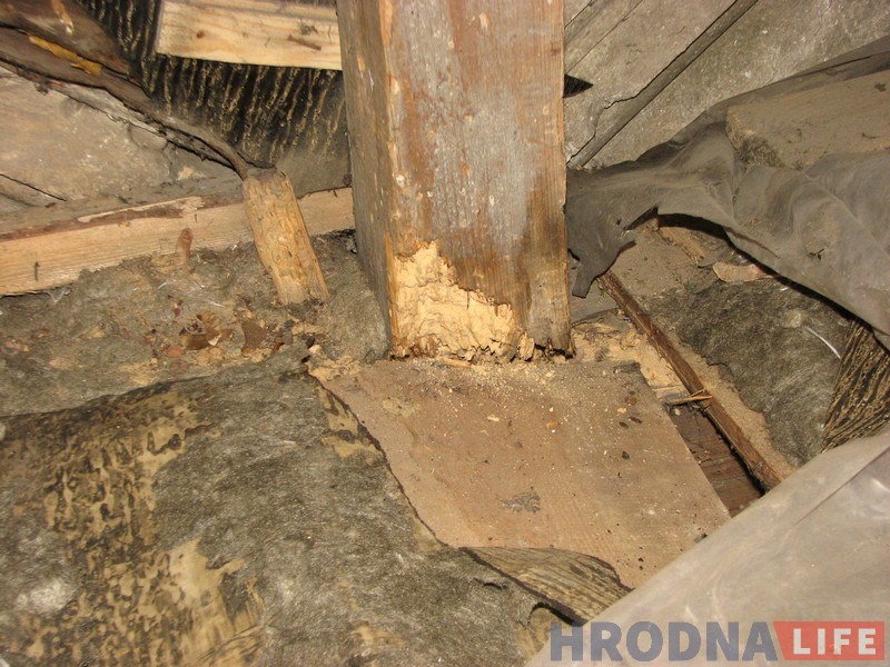 Не реставрация и не реконструкция: Коложскую церковь готовят к противоаварийному ремонту Не реставрация и не реконструкция: Коложскую церковь готовят к противоаварийному ремонту