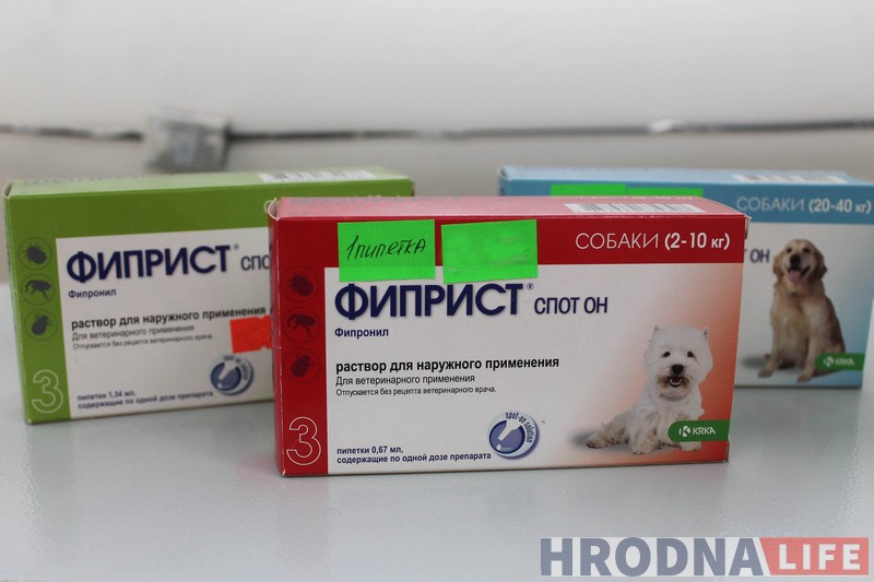 Полезные советы: как защитить домашних животных от клещей и что делать, если клещ уже укусил Полезные советы: как защитить домашних животных от клещей и что делать, если клещ уже укусил