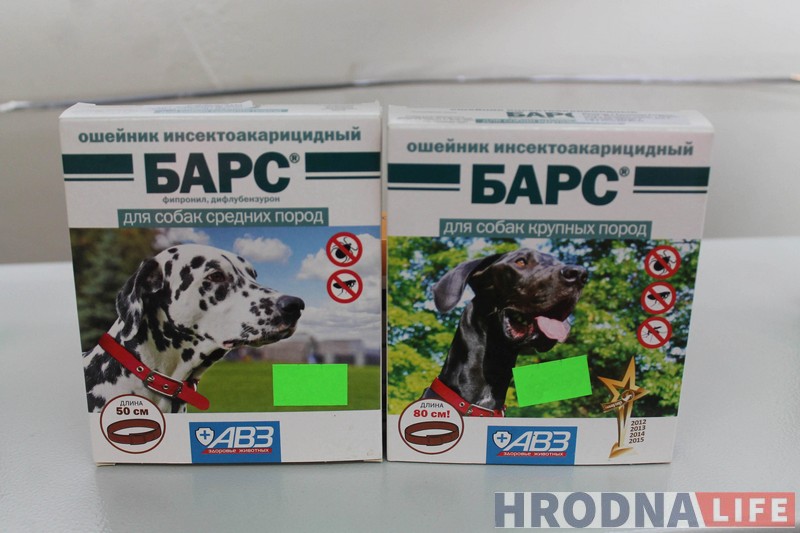 Полезные советы: как защитить домашних животных от клещей и что делать, если клещ уже укусил Полезные советы: как защитить домашних животных от клещей и что делать, если клещ уже укусил