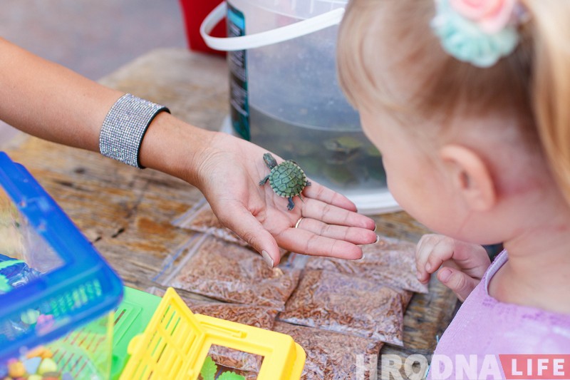 "Более правильный Гродно". Фотографка показала фестиваль с другой стороны "Более правильный Гродно". Фотографка показала фестиваль с другой стороны