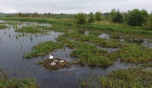 Августовский канал открыл сезон. На чем и за сколько поплавать, что посмотреть Августовский канал открыл сезон. На чем и за сколько поплавать, что посмотреть