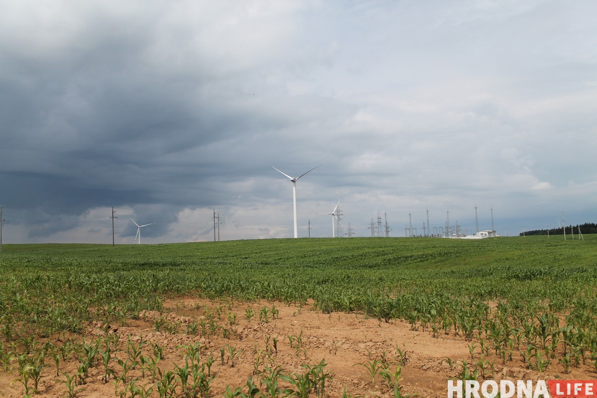 Не только ветряки. Как в Новогрудке развивают "зеленую" экономику Не только ветряки. Как в Новогрудке развивают "зеленую" экономику