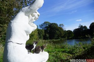 Исчезающее наследие. Под Волковыском разрушается уникальная деревянная церковь и спасти ее, кажется, не получится