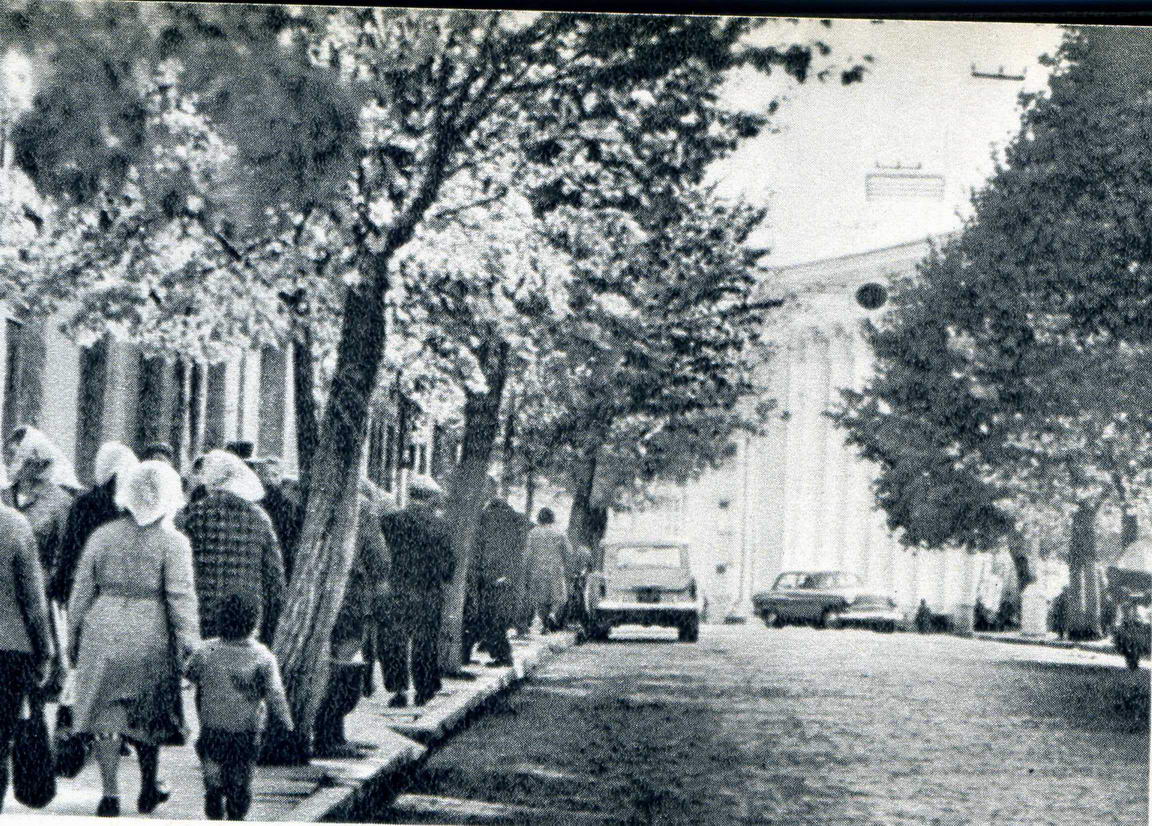 Деревья на Советской улице посадили в 1950-х, а полностью вырубили в 2007 году. Фото 1966 г.