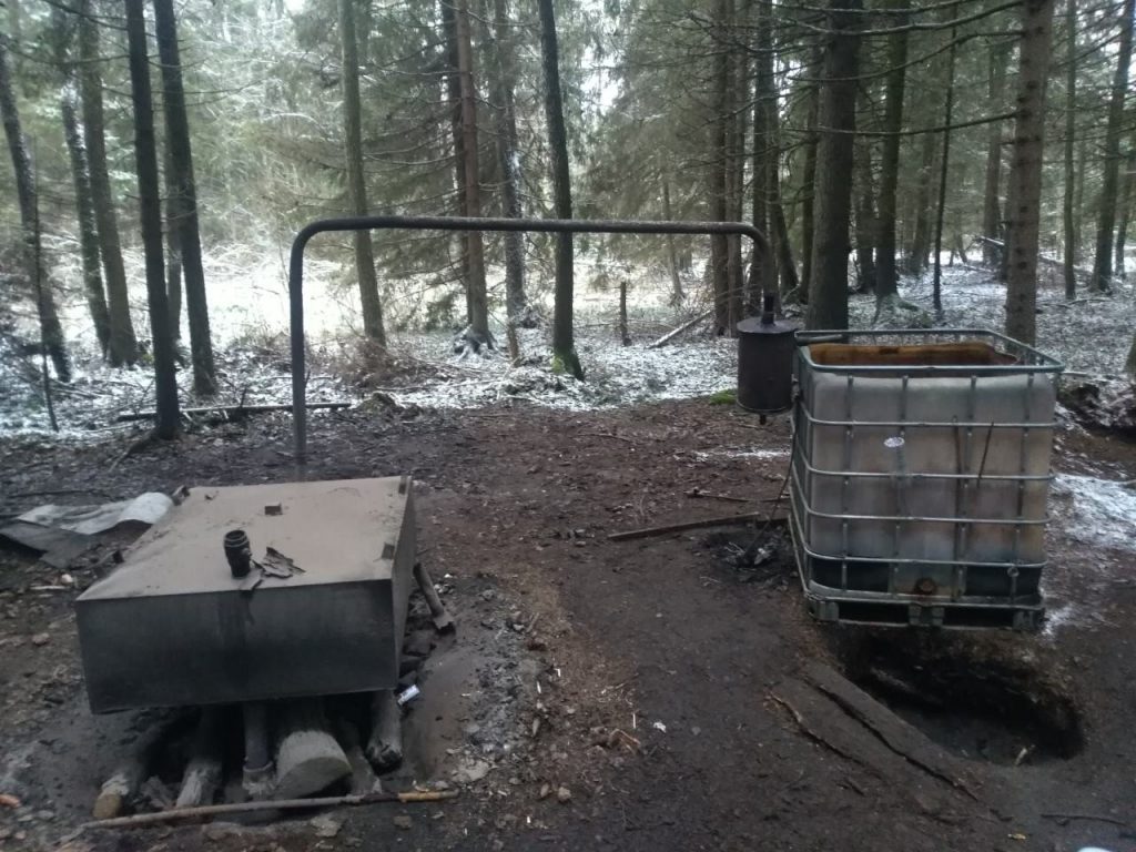 В Беловежской пуще нашли 4000 литров браги. Изготовитель говорит, что на свадьбу сыну