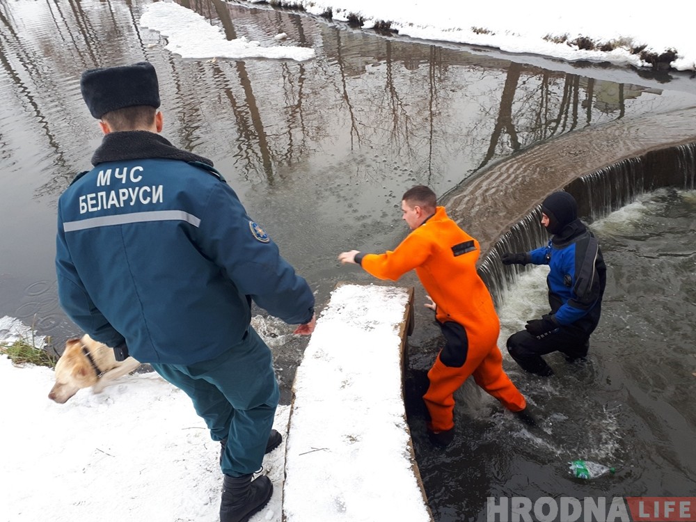 Гродненские спасатели вытащили из воды еще одну собаку Гродненские спасатели вытащили из воды еще одну собаку