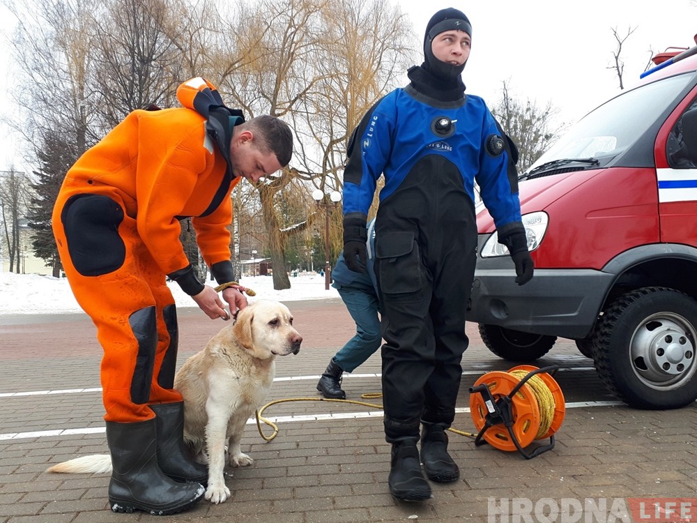 Гродненские спасатели вытащили из воды еще одну собаку Гродненские спасатели вытащили из воды еще одну собаку