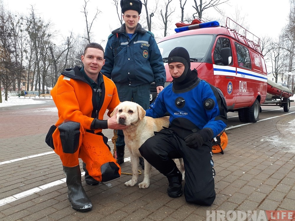Гродненские спасатели вытащили из воды еще одну собаку Гродненские спасатели вытащили из воды еще одну собаку