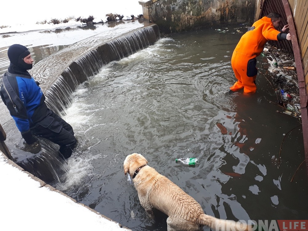 Гродненские спасатели вытащили из воды еще одну собаку Гродненские спасатели вытащили из воды еще одну собаку