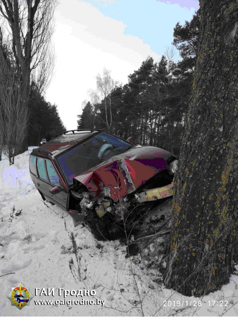 Водитель въехал в дерево и пытался переложить вину на жену