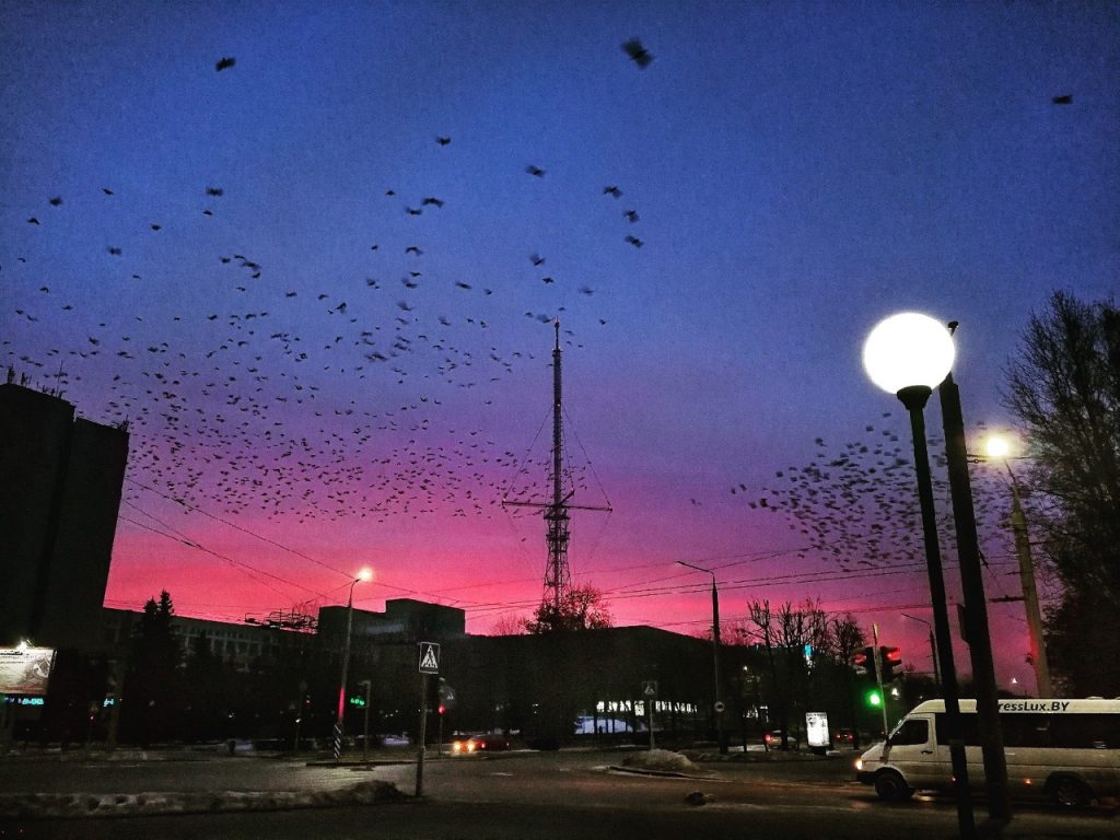 Гродненцы делятся в соцсетях фотографиями "огненного" рассвета