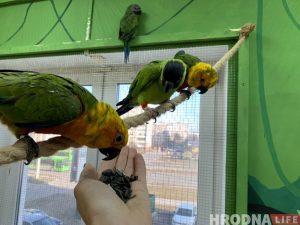 Школьница из Гродненской области выиграла деньги от ЮНИСЕФ и собрала 300 кг крышечек Школьница из Гродненской области выиграла деньги от ЮНИСЕФ и собрала 300 кг крышечек