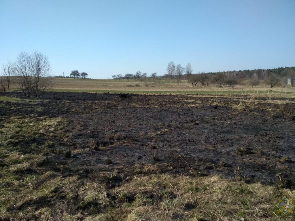 В Гродненском районе среди сожженной травы нашли погибшего мужчину