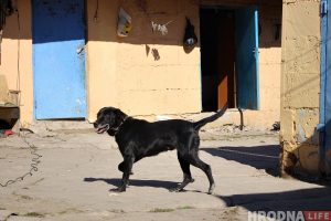 “Гродно Азот” отремонтирует собственное бомбоубежище