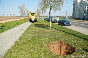Как в Гродно используют «Большой Джон» - машину для пересадки больших деревьев Как в Гродно используют «Большой Джон» - машину для пересадки больших деревьев