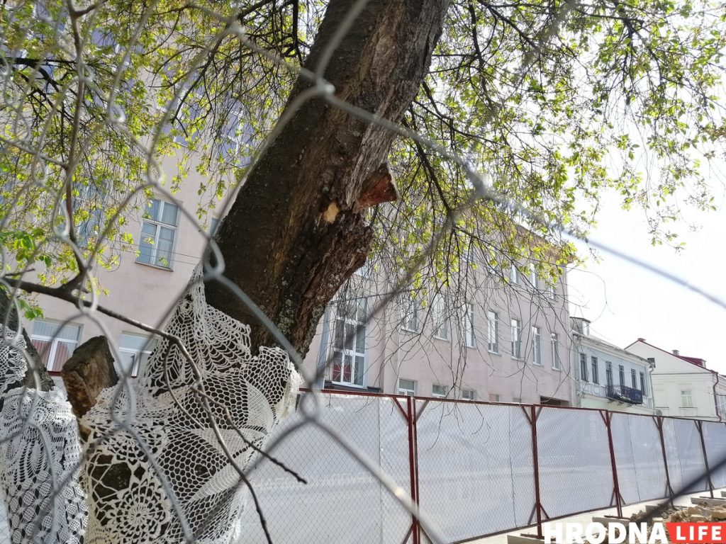 Видеофакт: Ломали вишню экскаватором, так как не было пил