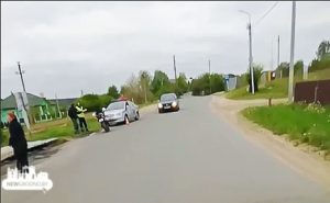 Мотоциклист в Гродно сбил косулю Мотоциклист в Гродно сбил косулю