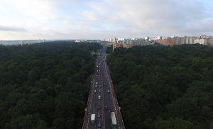 У Румлево изменился статус. Теперь тут нельзя выгуливать собак