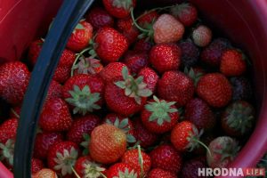 Суши-бар международной сети “Капибара” готовится к открытию в Гродно (обновлено)