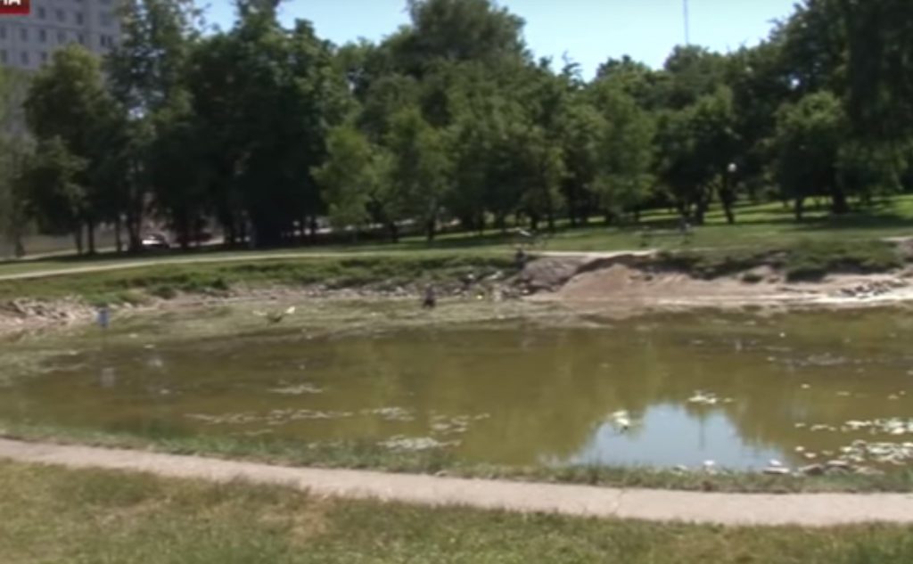 В Гродно засыхают пруды и сохнут деревья. ЖКХ: закачка воды нецелесообразна