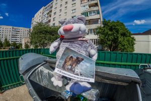 В Гродно выкидывают на мусорки плюшевые игрушки, чтобы поддержать бездомных животных В Гродно выкидывают на мусорки плюшевые игрушки, чтобы поддержать бездомных животных