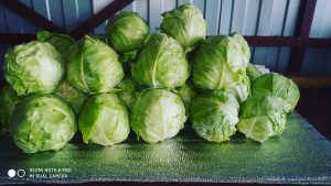 Instagram СССР-style: что постят в своих аккаунтах госорганизации