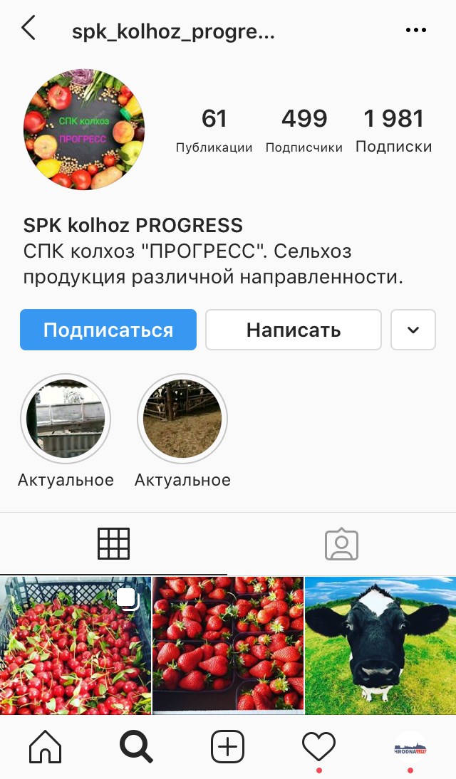 Instagram СССР-style: что постят в своих аккаунтах госорганизации Instagram СССР-style: что постят в своих аккаунтах госорганизации