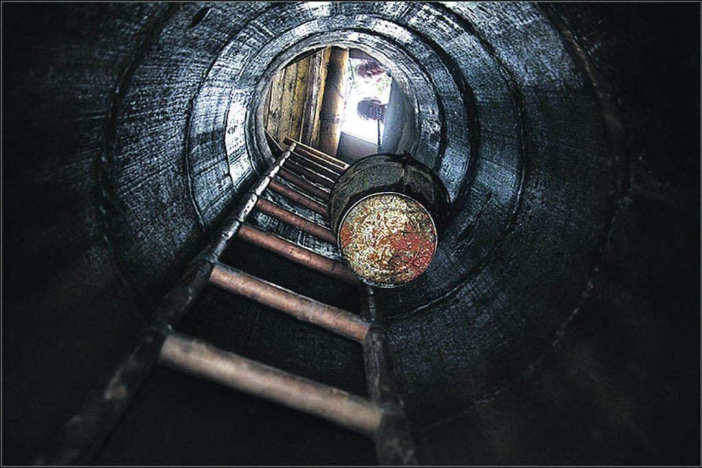 Жителю Лидского района в колодец подбросили мертвую собаку. Следственный комитет возбудил уголовное дело