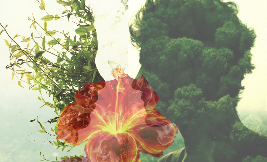 Праздник фольклора и природы «Августовские берега» пройдет на Домбровке Праздник фольклора и природы «Августовские берега» пройдет на Домбровке