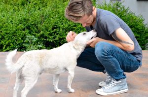 Гродненский ремесленник снимает видео в поддержку бездомных животных: хочет собрать $50 000 на ремонт приюта Гродненский ремесленник снимает видео в поддержку бездомных животных: хочет собрать $50 000 на ремонт приюта