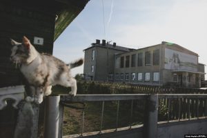 Директорку турфирмы, проигравшую деньги клиентов, приговорили к колонии