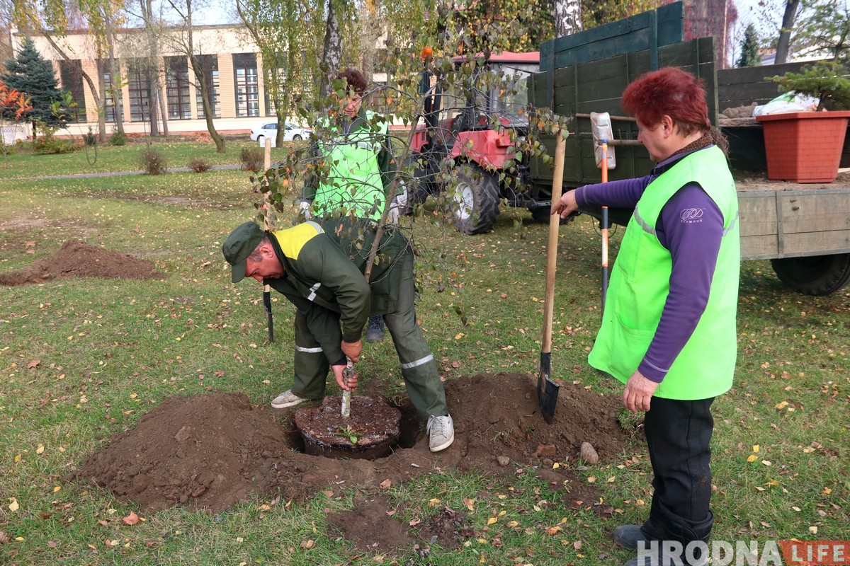 «Отдал должок Наталье Канюк». Ботанический сад в парке Жилибера пополнился новыми деревьями «Отдал должок Наталье Канюк». Ботанический сад в парке Жилибера пополнился новыми деревьями