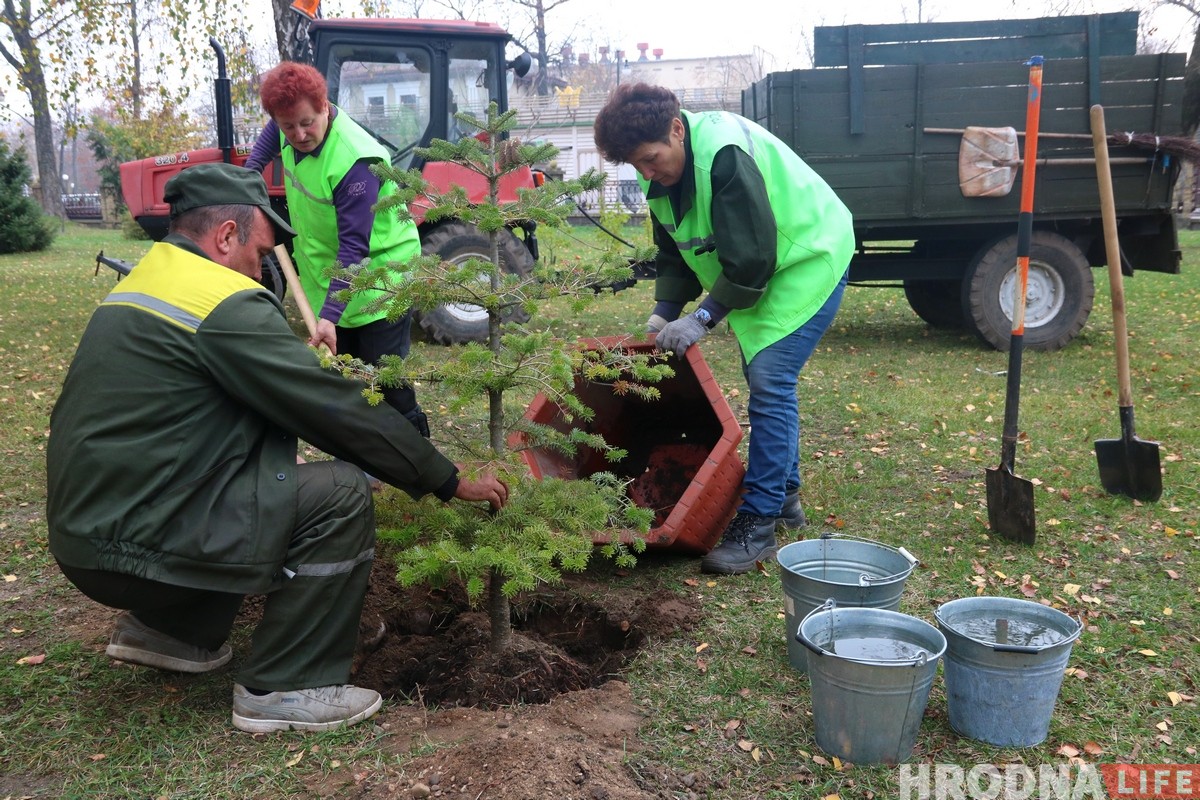 «Отдал должок Наталье Канюк». Ботанический сад в парке Жилибера пополнился новыми деревьями «Отдал должок Наталье Канюк». Ботанический сад в парке Жилибера пополнился новыми деревьями
