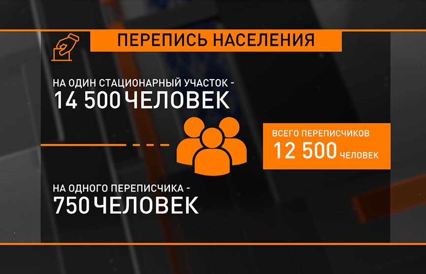 С 1 по 6 ноября специалисты по переписи населения повторно придут к белорусам перепись населения 2