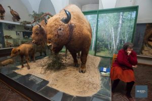 Замок, который уже никогда не вернется. Топ-10 гродненских витрин, которые нельзя забыть