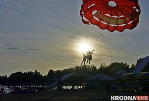 Правильные пчелы живут на крыше. Зачем ставить ульи в городе? Правильные пчелы живут на крыше. Зачем ставить ульи в городе?