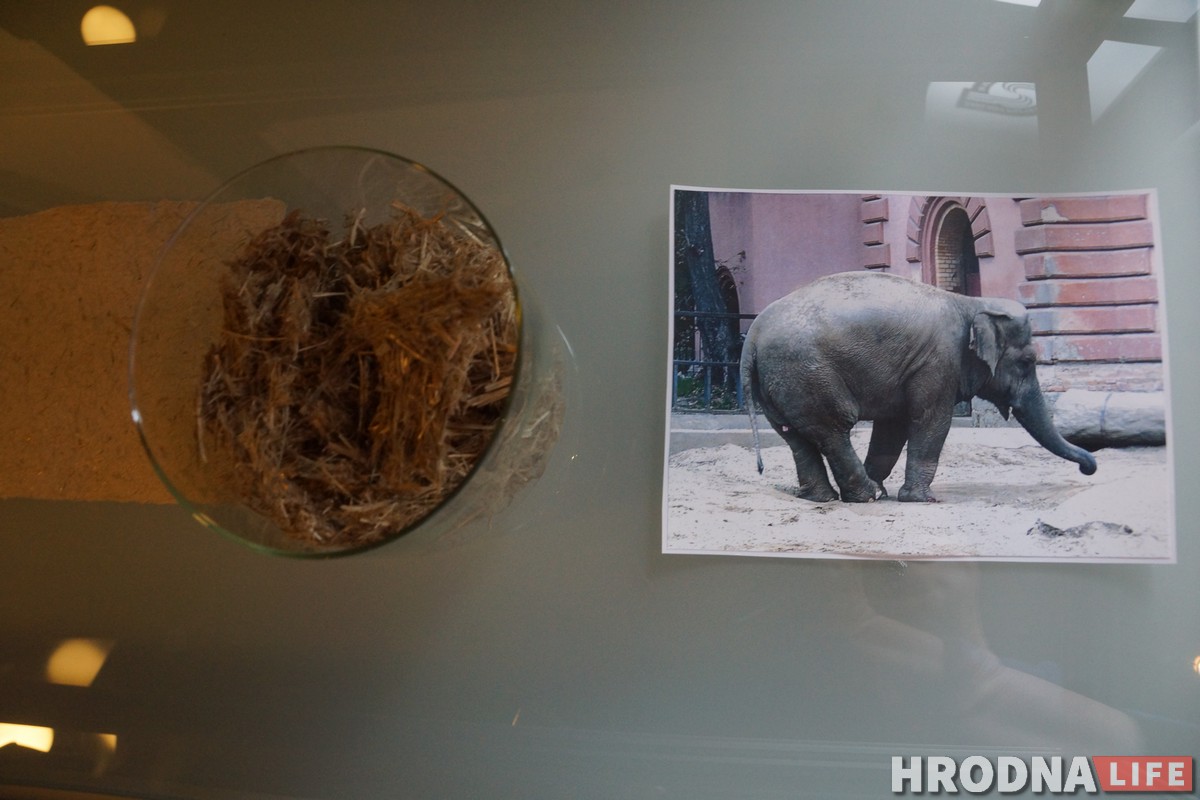 В гостях, как дома. Подружиться с краснолюдками Вроцлава и найти привидение в замках Нижней Силезии В гостях, как дома. Подружиться с краснолюдками Вроцлава и найти привидение в замках Нижней Силезии