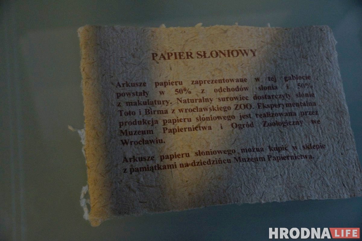 В гостях, как дома. Подружиться с краснолюдками Вроцлава и найти привидение в замках Нижней Силезии В гостях, как дома. Подружиться с краснолюдками Вроцлава и найти привидение в замках Нижней Силезии